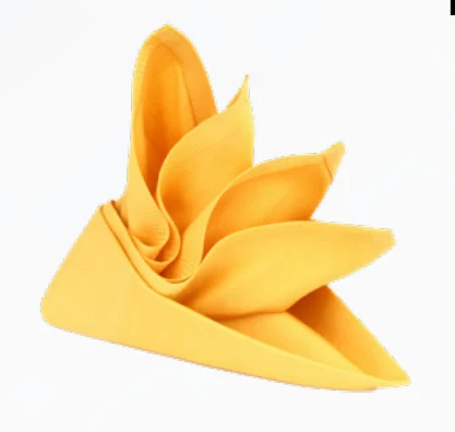 Cloth Dinner Napkins